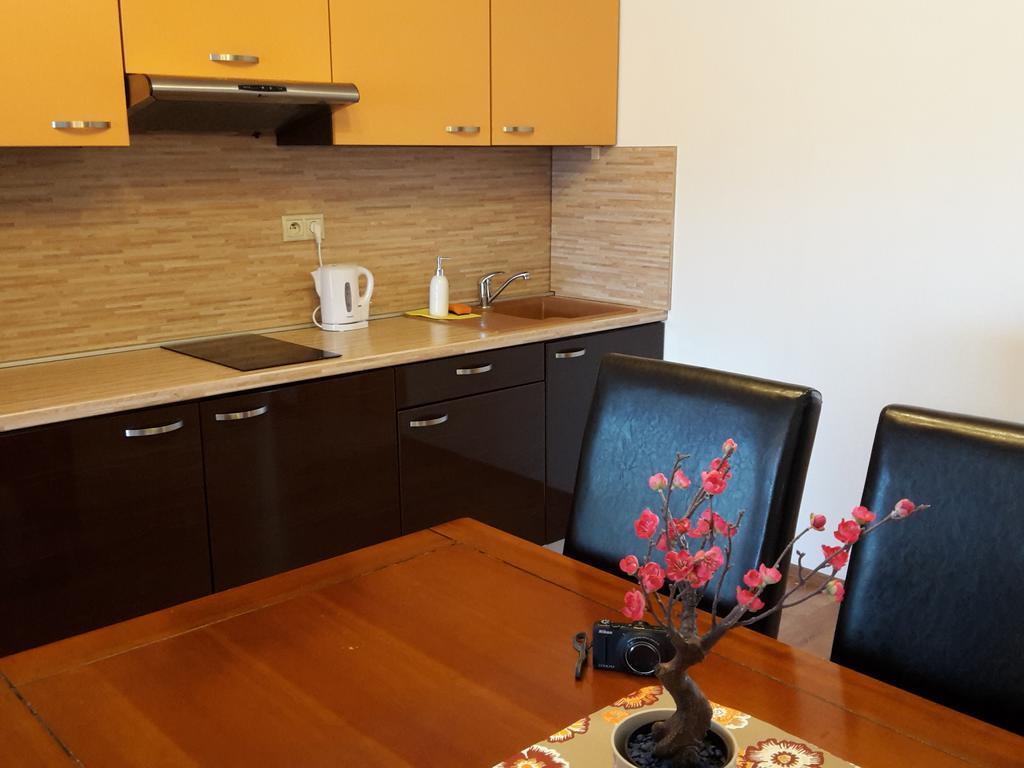 Apartman Slavkov Home & Parking Nová Lesná المظهر الخارجي الصورة